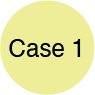 case1